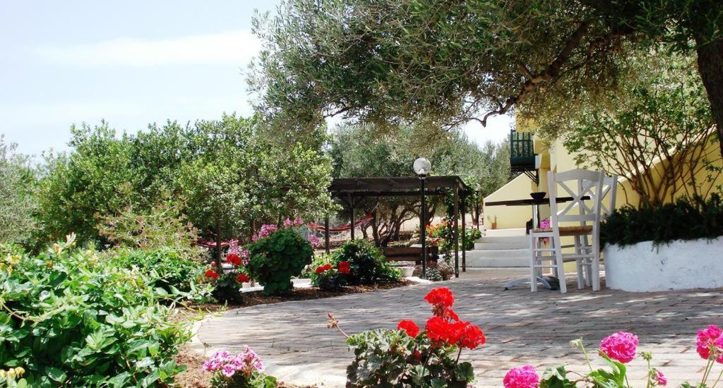 Katerina Charming Place Amoudara  Exterior photo